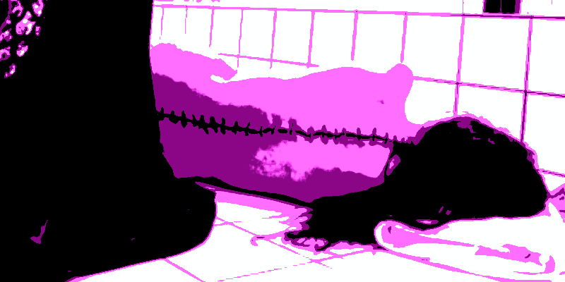 Altered still from The Substance